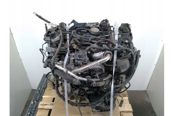 Motor Ford Connect Xuga GV6Q-6007-AA 1.5 Tdci usado