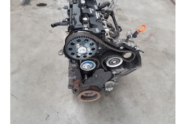 Motor Cay 1,6 TDI Audi A3 8P usado 8