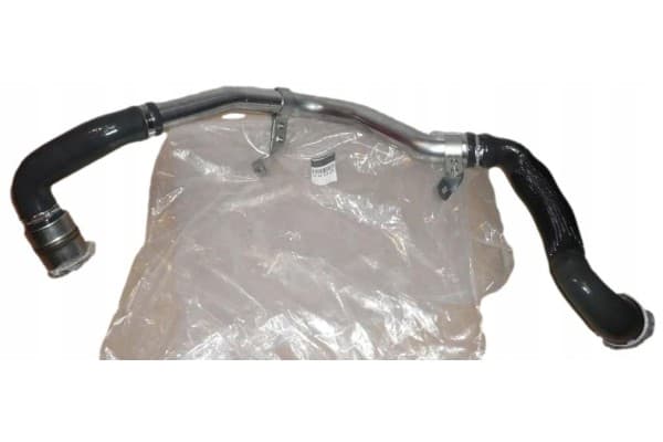Tubo de aire Renault Dacia 144602862R Original nuevo