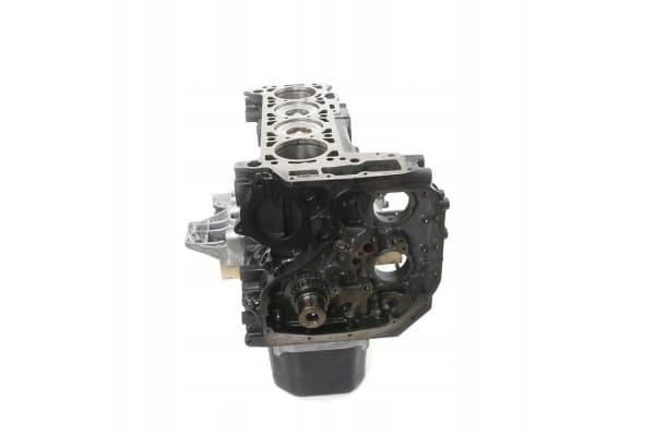 Bloque de motor Iveco Daily 3.0 EURO5 usado 4
