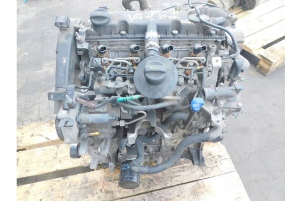 Motor Completo Peugeot 307 2.0 HDI 2002 Rhy usado 8