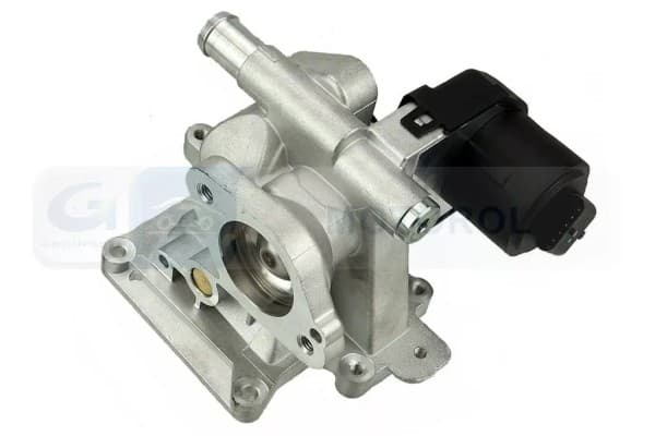 Válvula EGR Delphi EG10562-12B1 nuevo 4