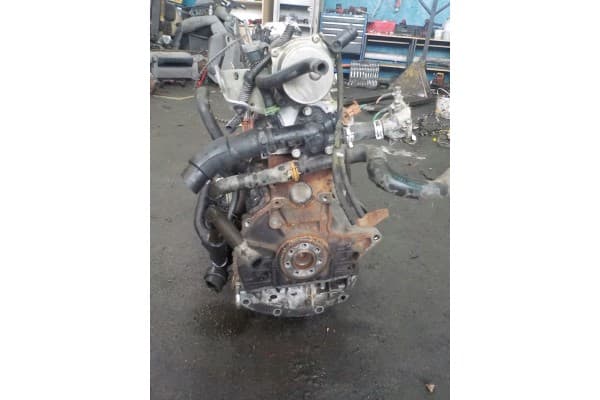 Soporte de Motor F8T 1.9 DCI usado 3