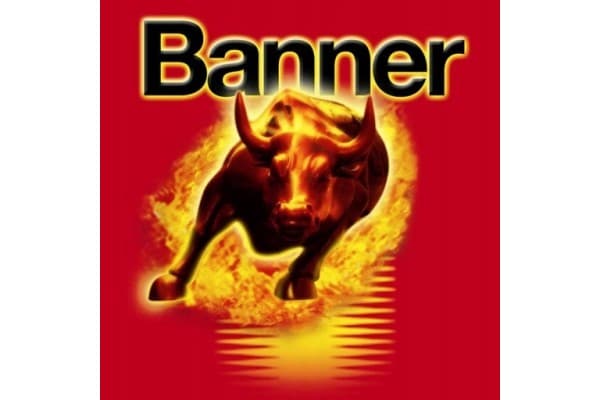 Batería Banner Agm 70Ah 760A usado 8