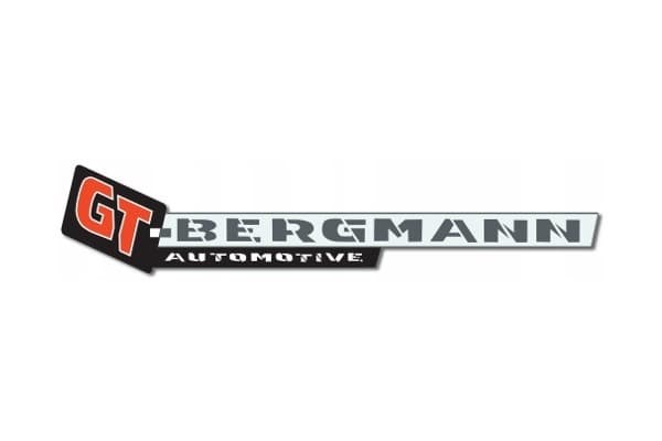 GT-Bergmann GT30-030 Caja de dirección usado 2