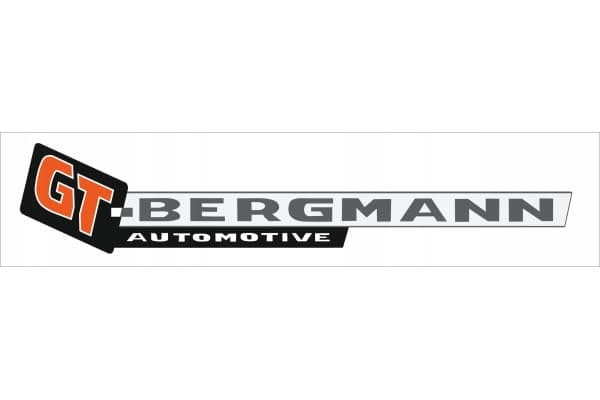 GT-Bergmann GT30-017 Caja de dirección nuevo 2