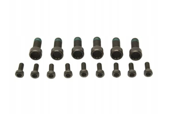 Schaeffler LuK 600 0016 00 Juego de embrague usado 8