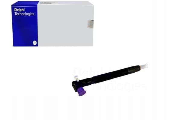 Inyector Delphi 28229873-12B1 usado
