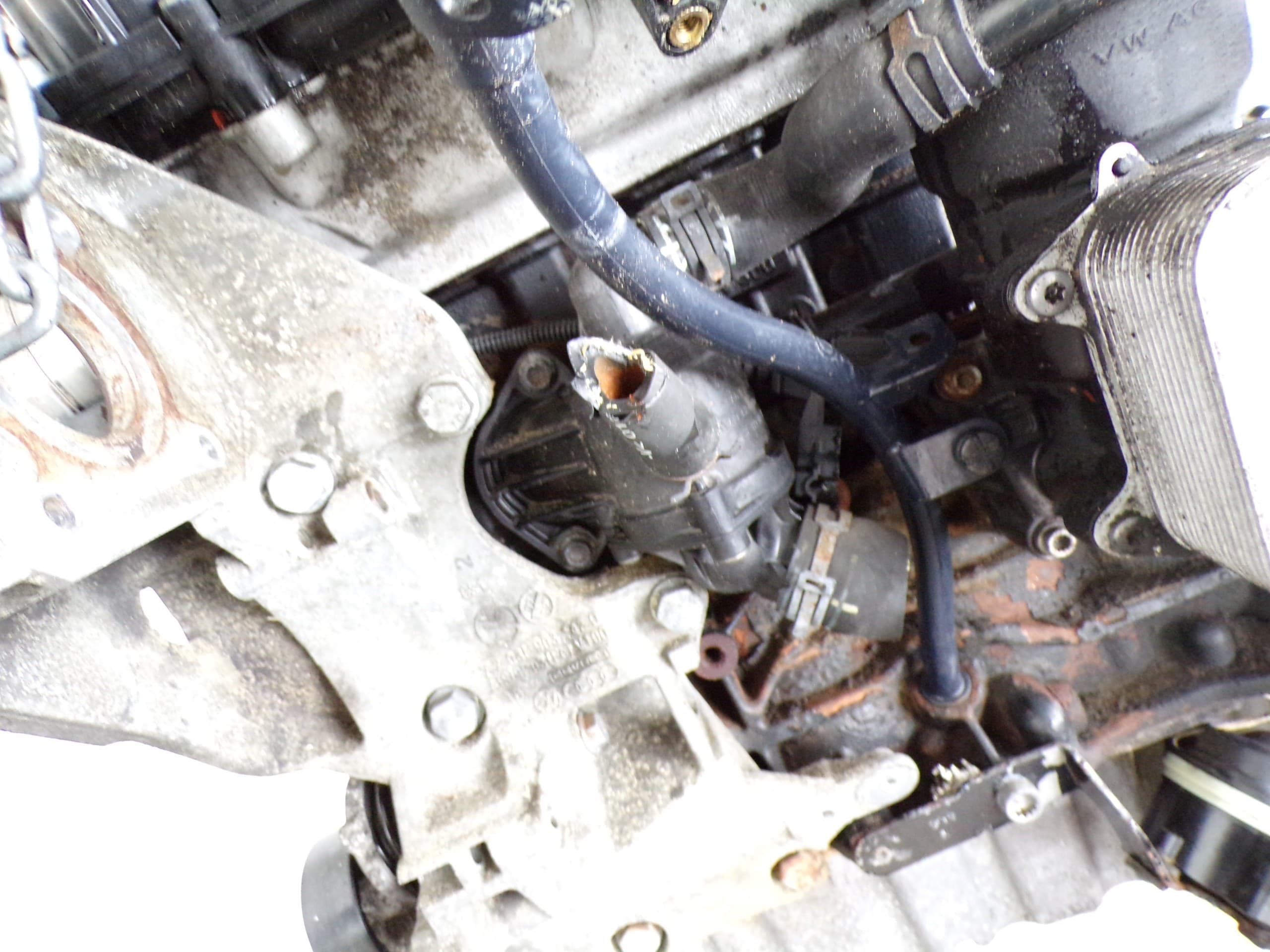 Motor Volkswagen Passat B6 Fabia II Octavia II 1.6 TDI Cay usado 4