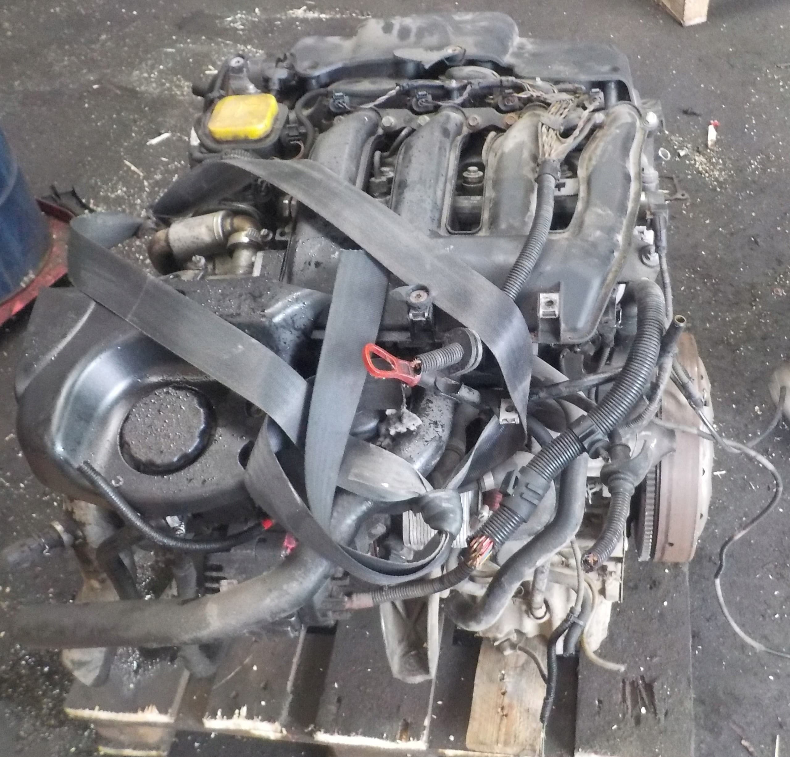 Motor BMW E46 M47E46 usado
