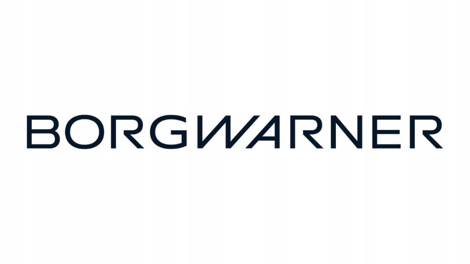 Válvula Agr BorgWarner 710369D nuevo 7