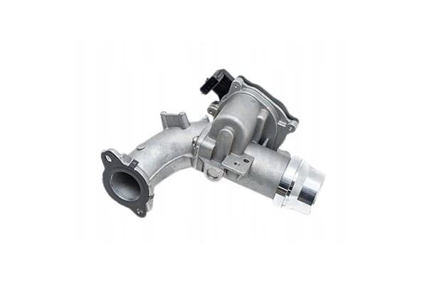 Aire Acelerador Renault 1446900QAH Original nuevo