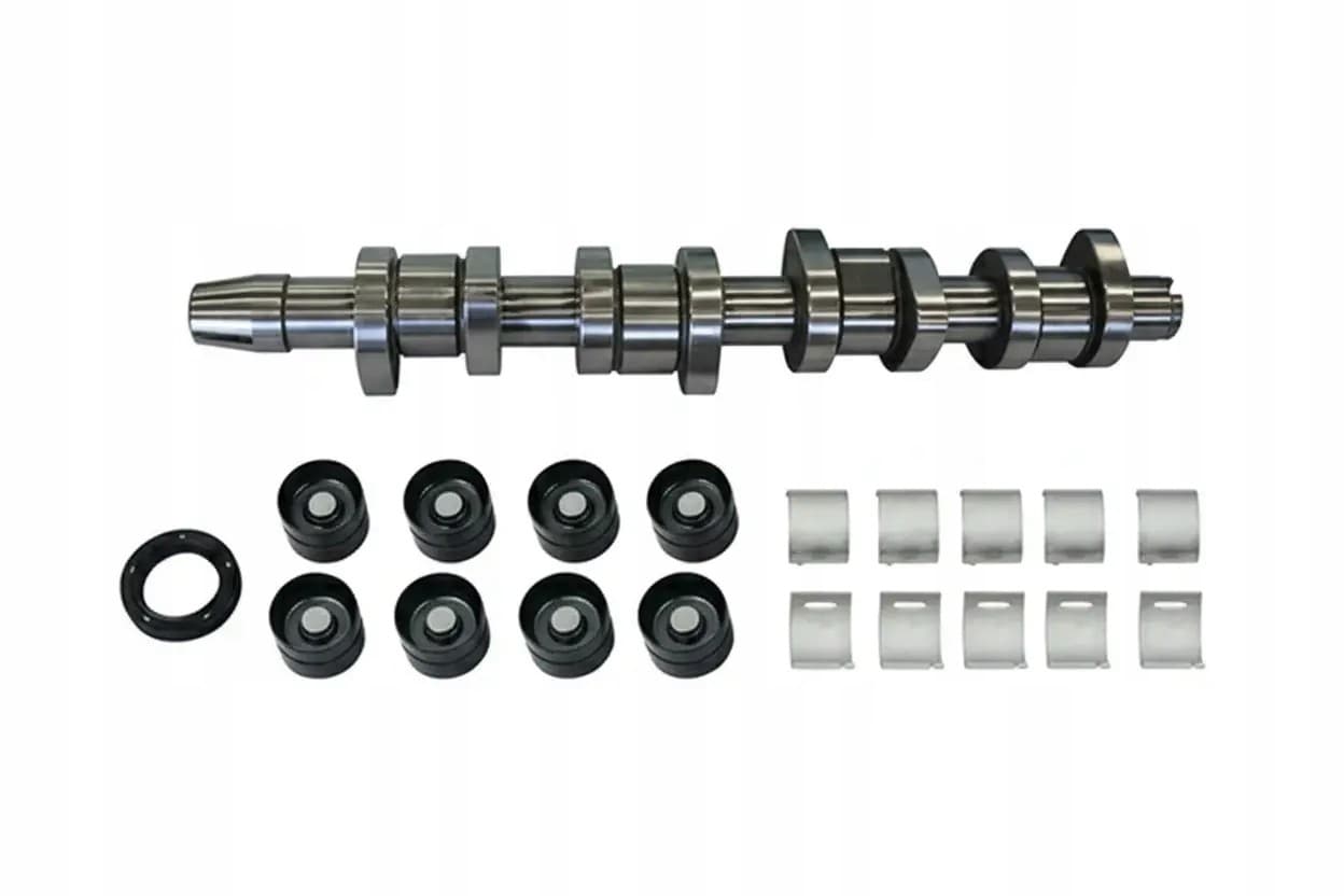 Kit de Árbol de Levas Borsehung B11307 nuevo