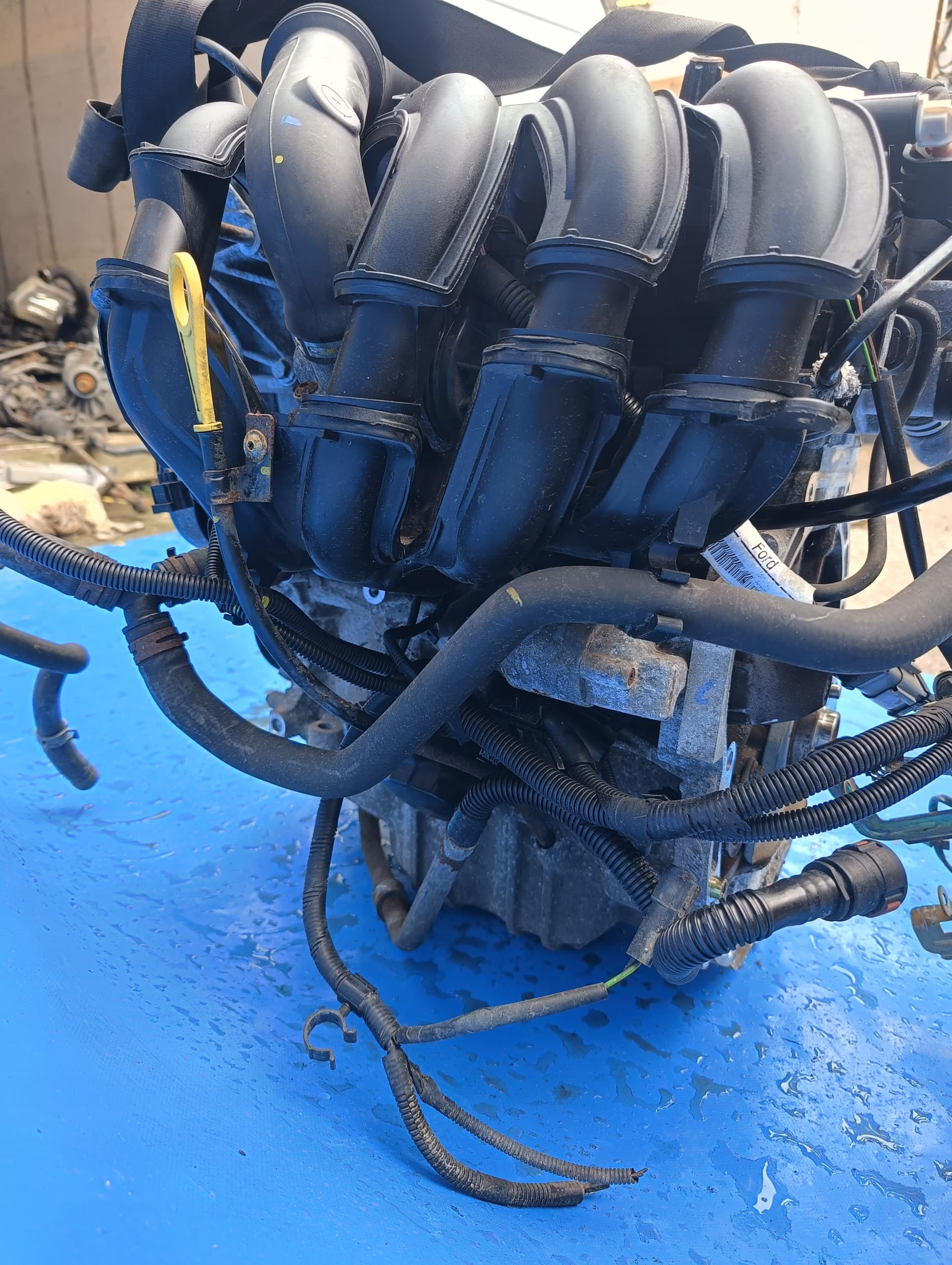 Motor Ford Fusion y Fiesta MK6 1.25 16V 06r usado 5