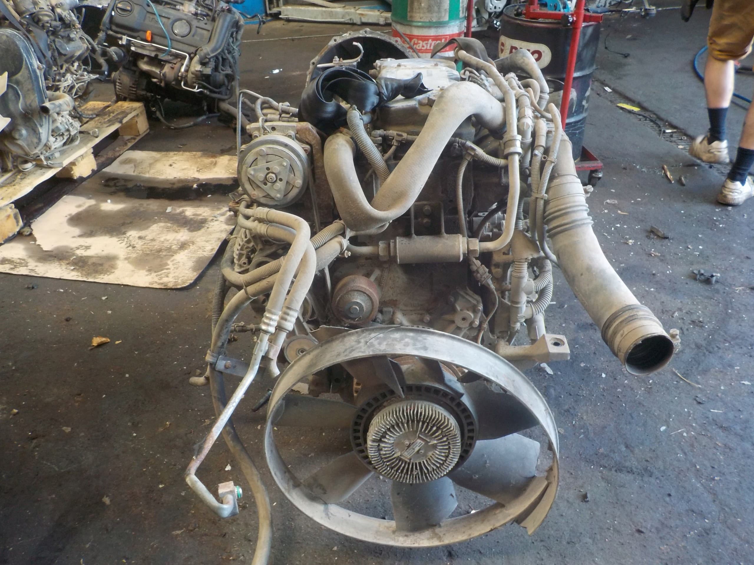 Motor Iveco 75E6 usado 2