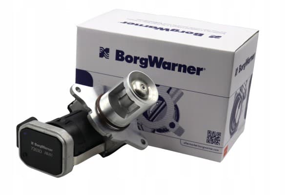 Válvula Agr BorgWarner (Wahler) 7353D nuevo