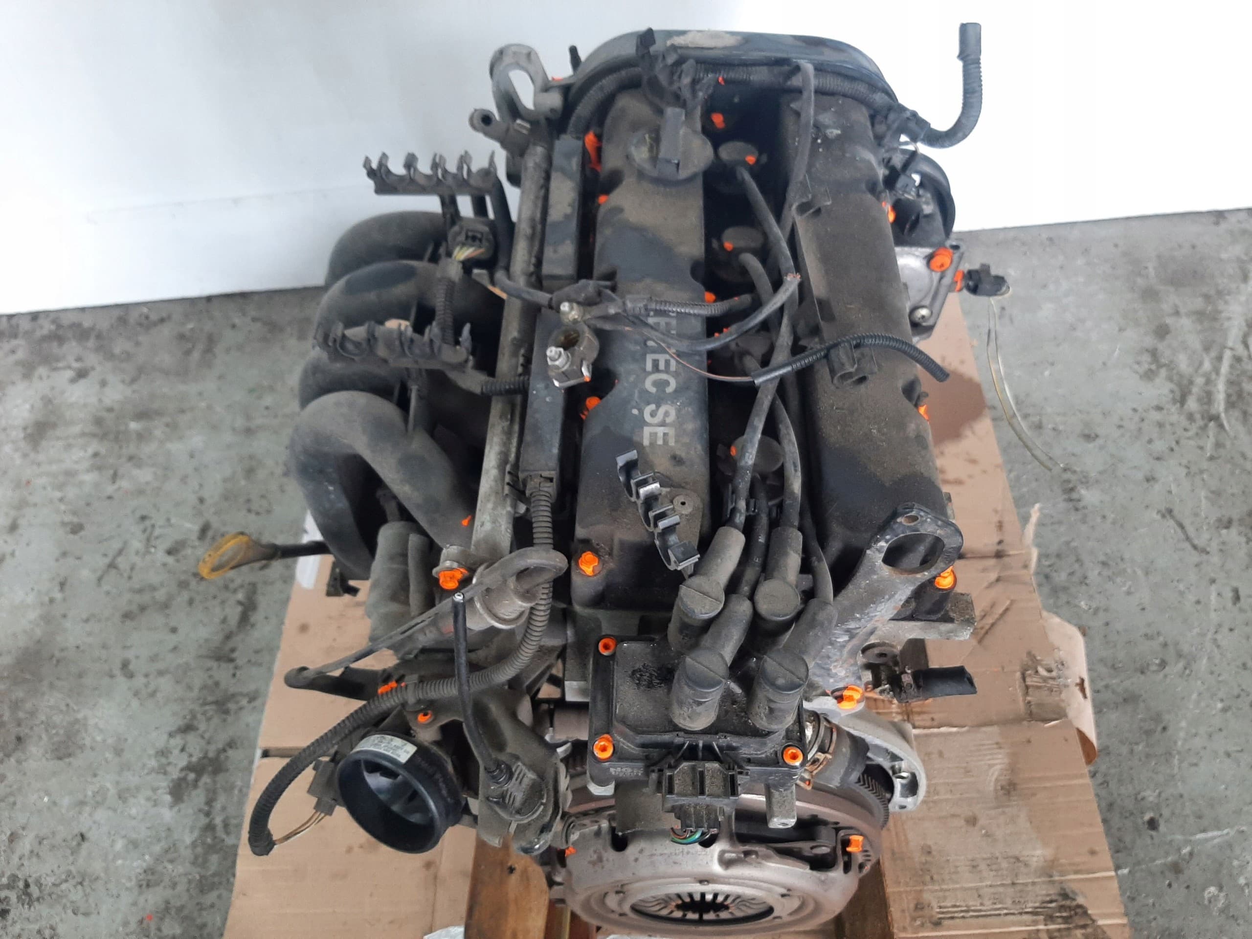 Motor Ford Focus MK1 Lift 1.4 16V Fxdb 55KW 75CV 2003 usado 8