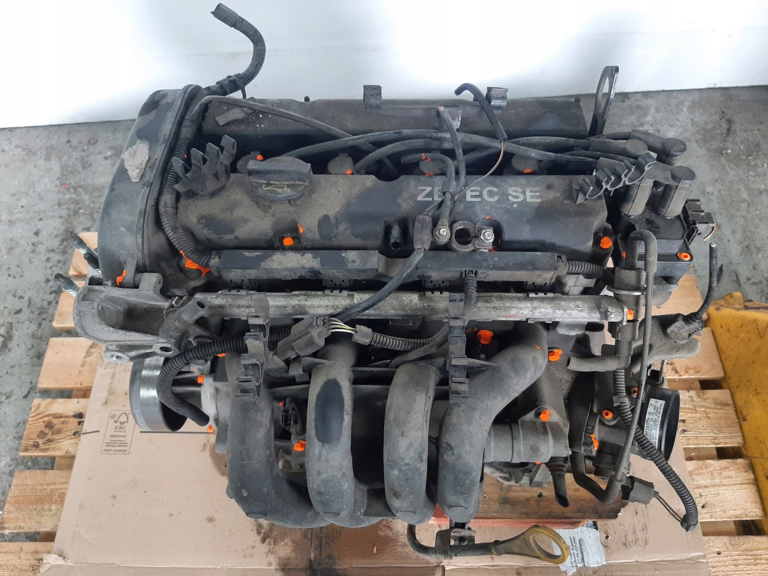 Motor Ford Focus MK1 Lift 1.4 16V Fxdb 55KW 75CV 2003 usado 9