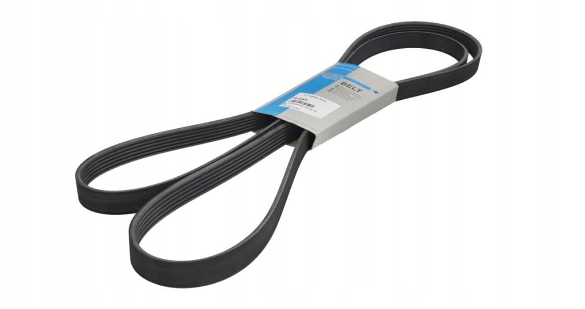 Correa Multi-Ranurada Thermo King nuevo