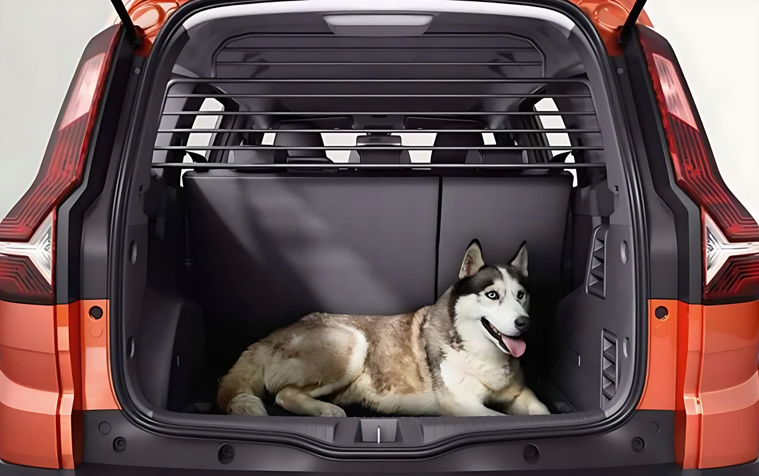 Rejilla Separadora Original para Maletero Dacia Jogger nuevo 4