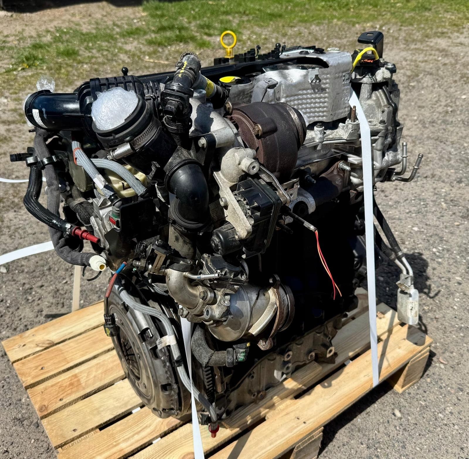 Motor Completo Renault Trafic Iii IV 2.0 DCI M9R717 2022 usado 6