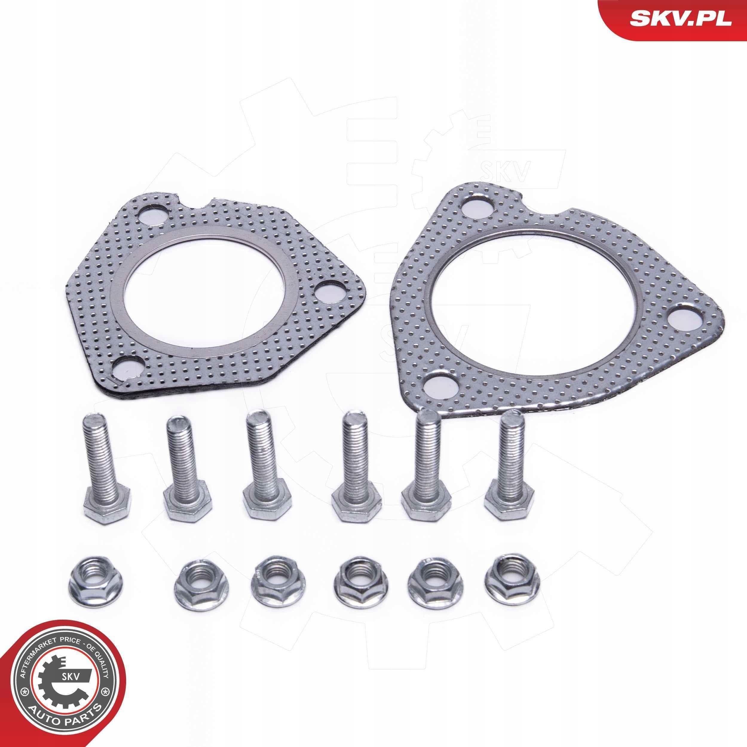 Catalizador Esen Skv 62SKV019 nuevo 6