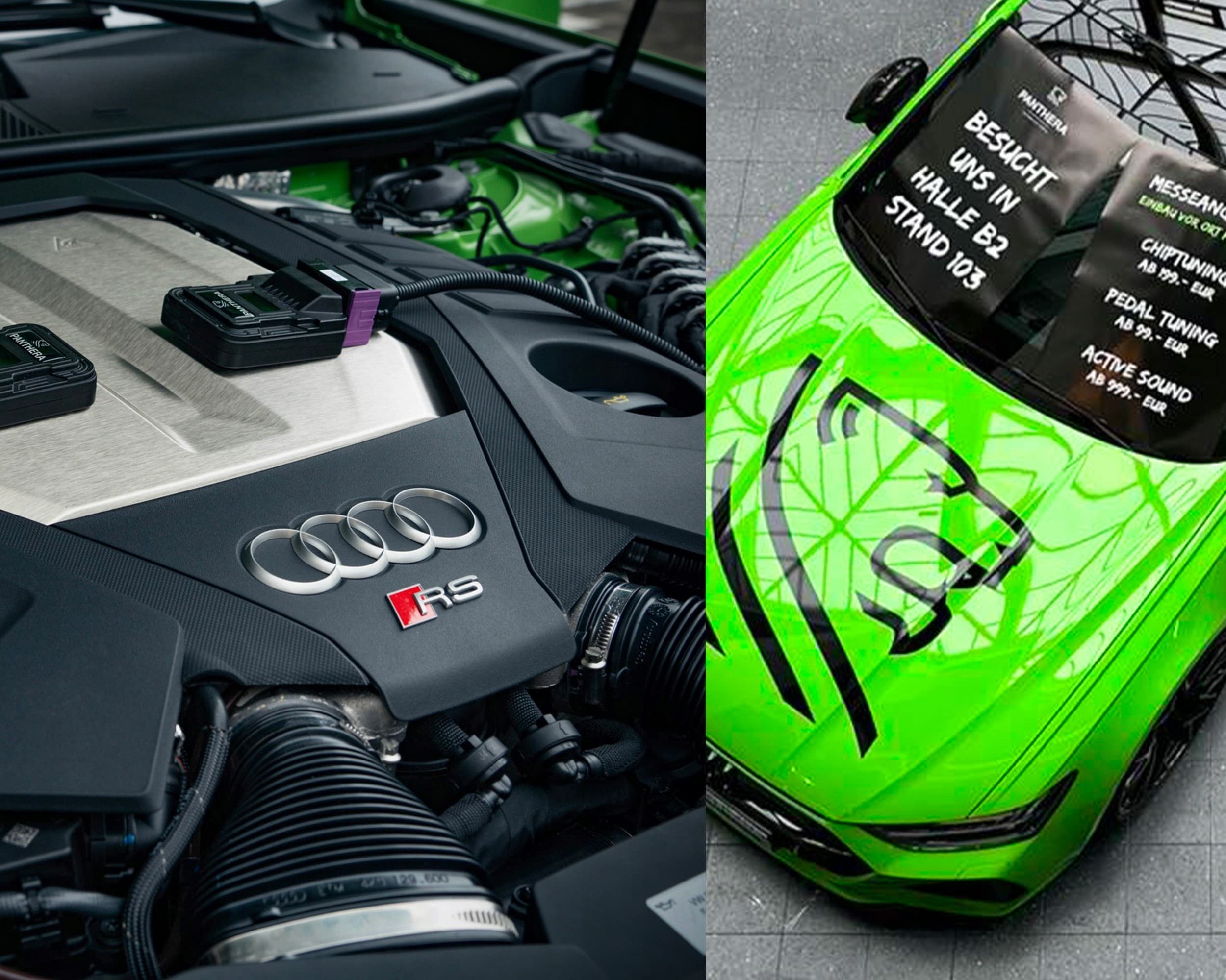 Panthera Leo Active Sound 6.0 Audi Q8 Escape Activo nuevo 6