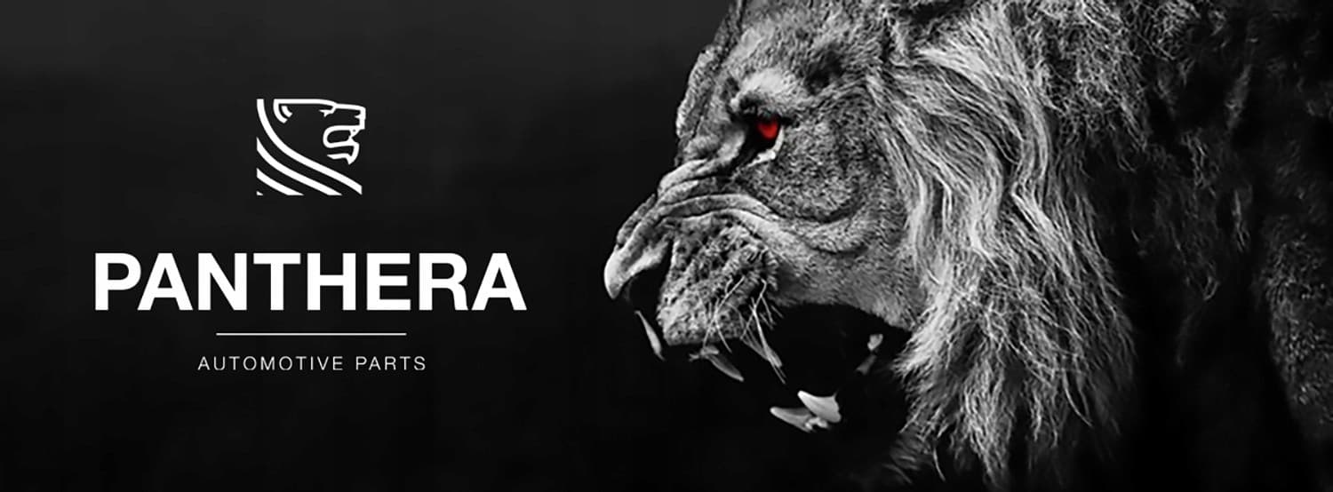 Panthera Leo Active Sound 6.0 Audi Q8 Escape Activo nuevo 8