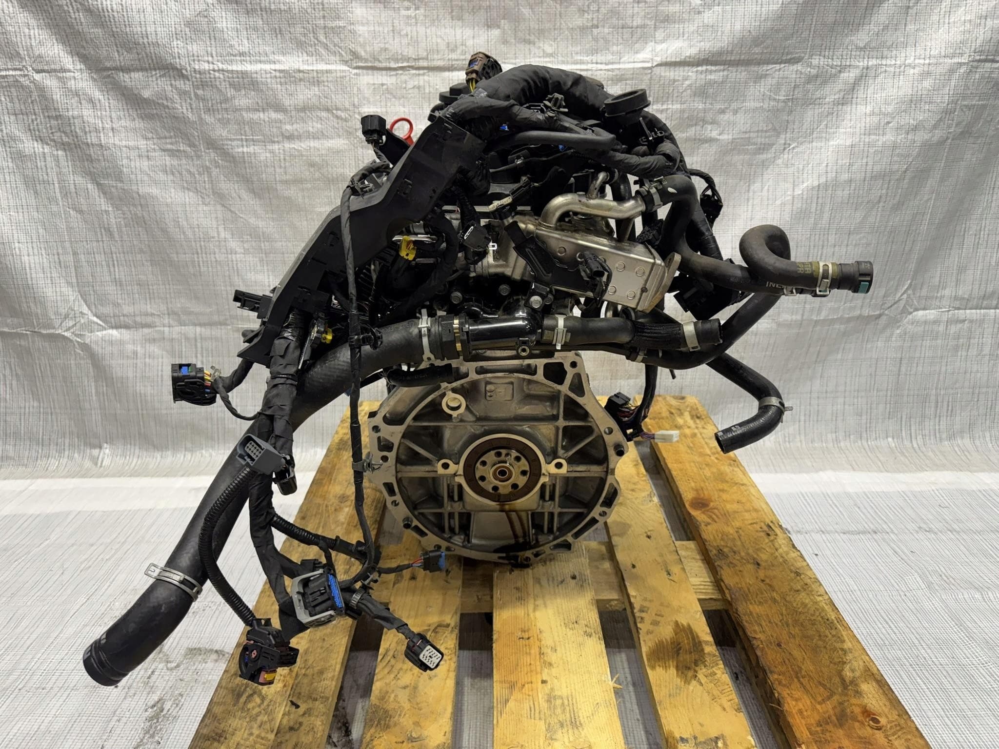 Motor Completo Kia Niro II G4LL usado 5