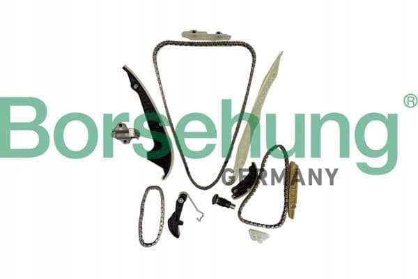 Kit de cadena de distribución Borsehung B10252 nuevo