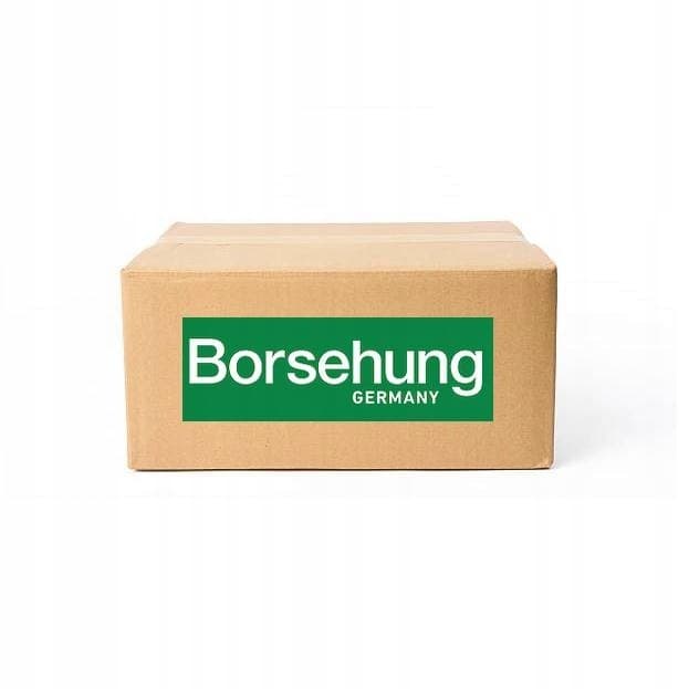 Kit de cadena de distribución Borsehung B10252 nuevo 2