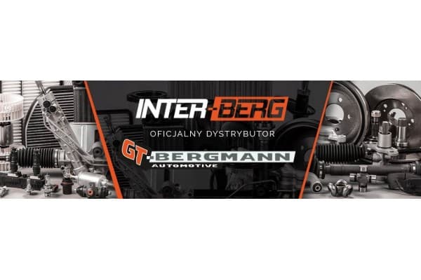 GT-Bergmann GT30-031 Caja de dirección nuevo 5