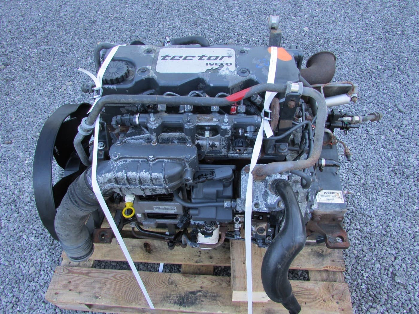 Motor Iveco Eurocargo 3.9 Tector 2008 F4AE3481D Euro5 usado