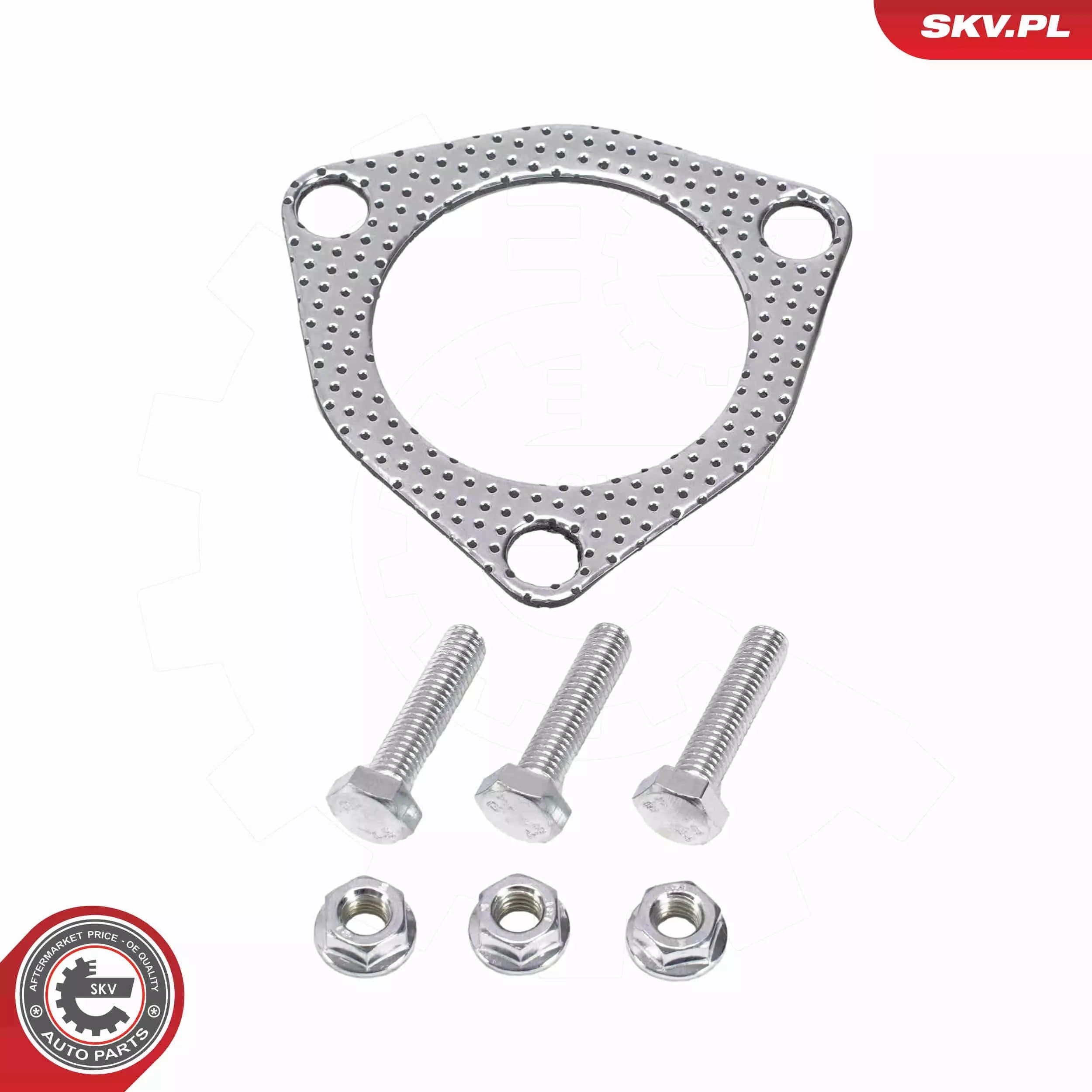 Catalizador Esen Skv 62SKV139 nuevo 6