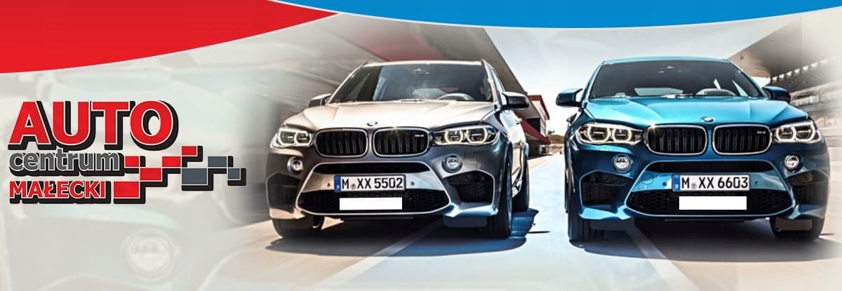 Radiador Gazela Diesel Andoria Steyr nuevo 10