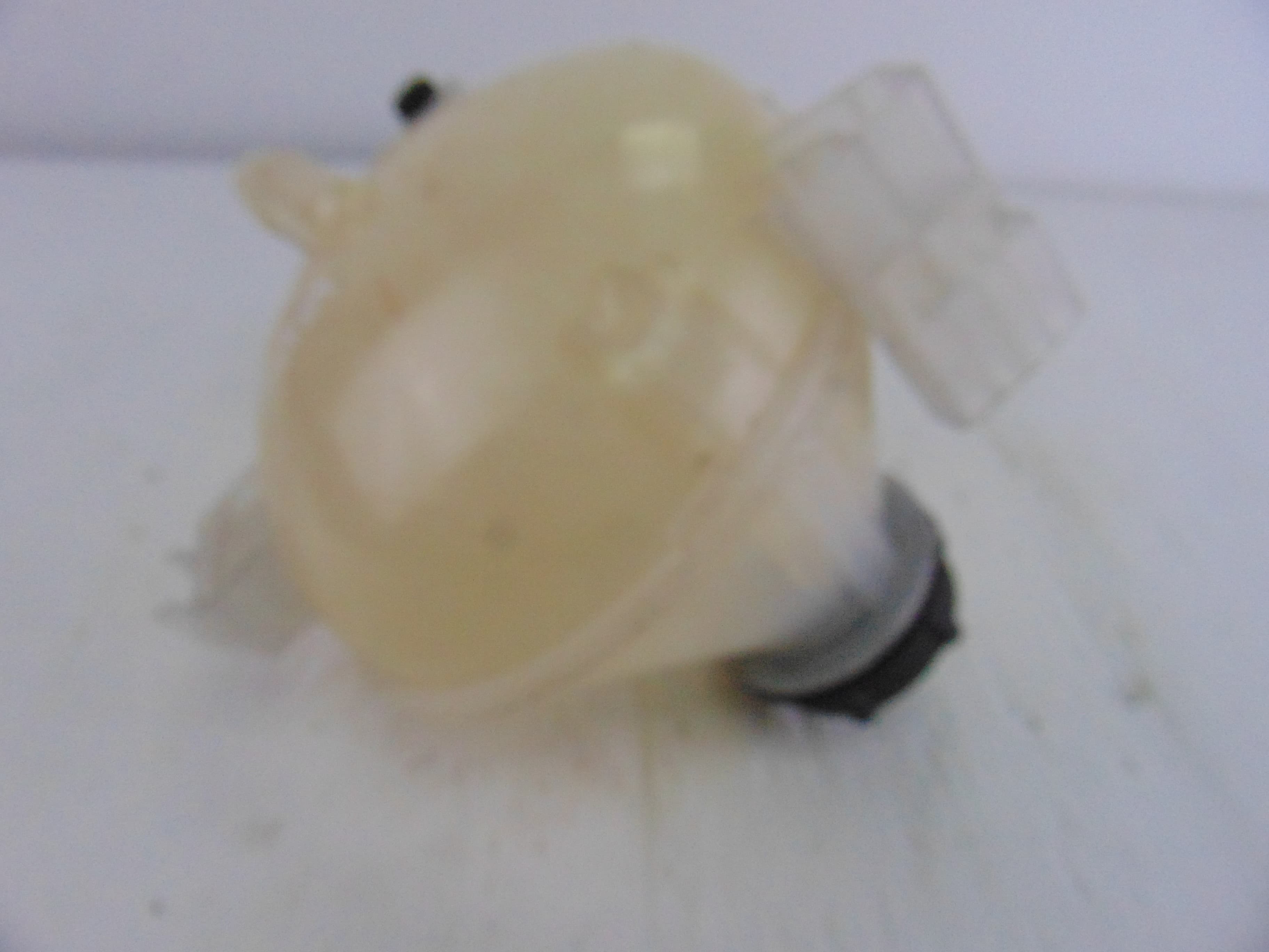 Deposito expansion, Ford Puma Hybrid ST-Line 2021, GN118A080AA usado 5