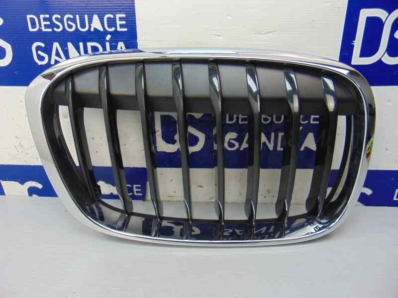 Rejilla delantera, 7383364 usado