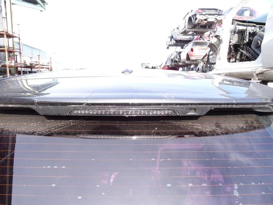 Porton trasero, Land Rover Range Rover Sport V6 Td Hse 2010 usado 3