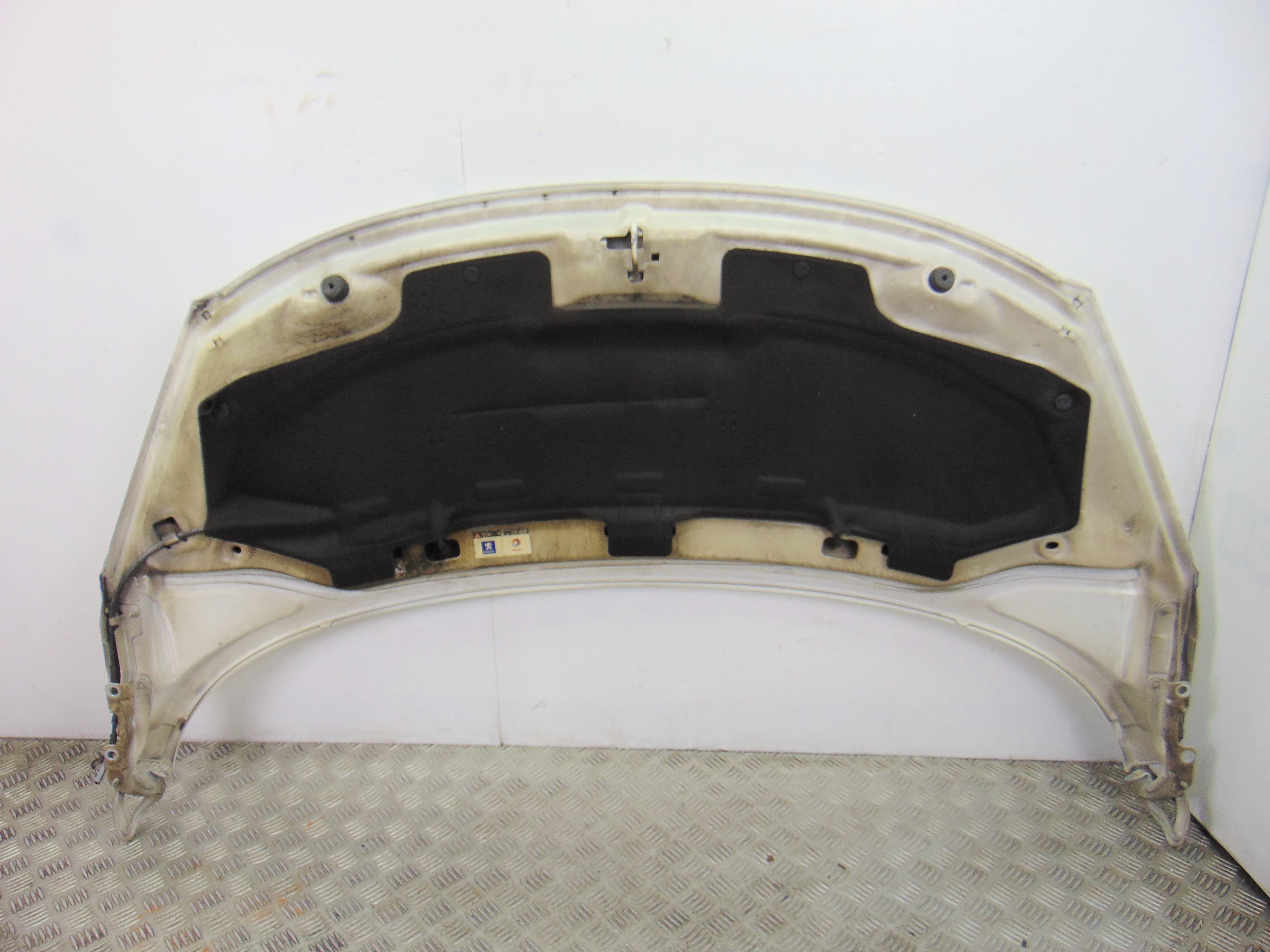 Capo, Peugeot 207 X-Line 2007 usado 4