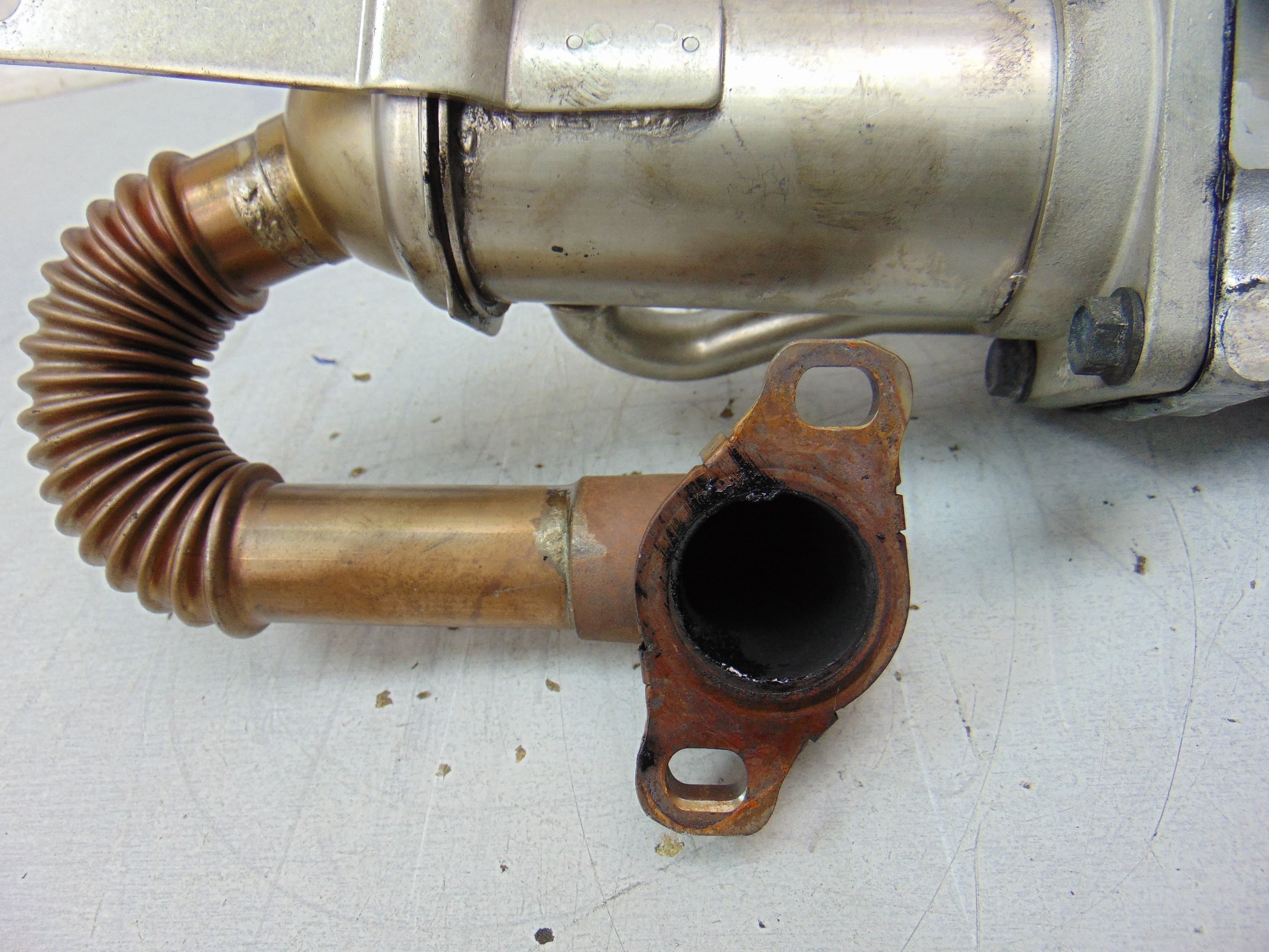Enfriador EGR, Nissan Qashqai (J10) Acenta 2008 usado 6