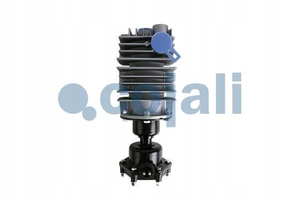 Válvula Dosificadora Tipo Consep 24V, M24X1 Cojali 2480004 nuevo