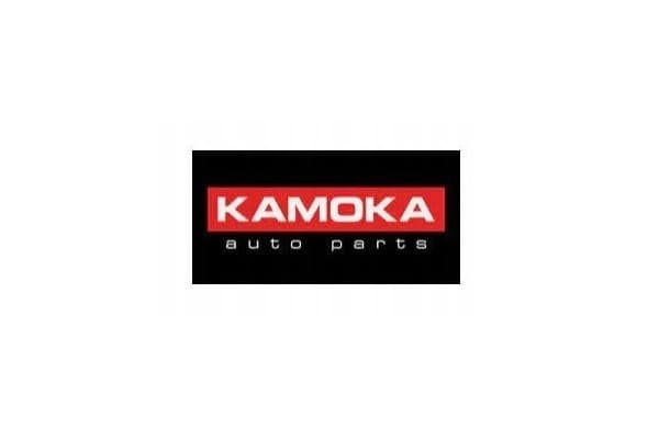 Kamoka 8015012 Catalizador nuevo 3