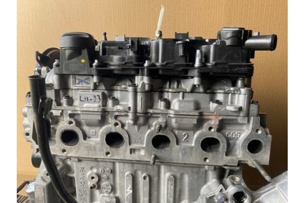 Motor Dog 1.5 BlueHDi para Citroën y Peugeot usado 7