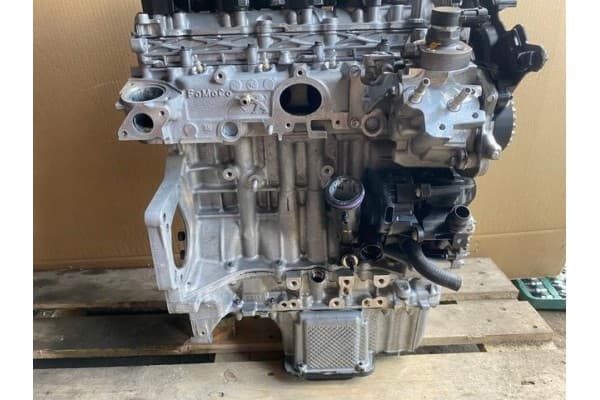 Motor Dog 1.5 BlueHDi para Citroën y Peugeot usado 10