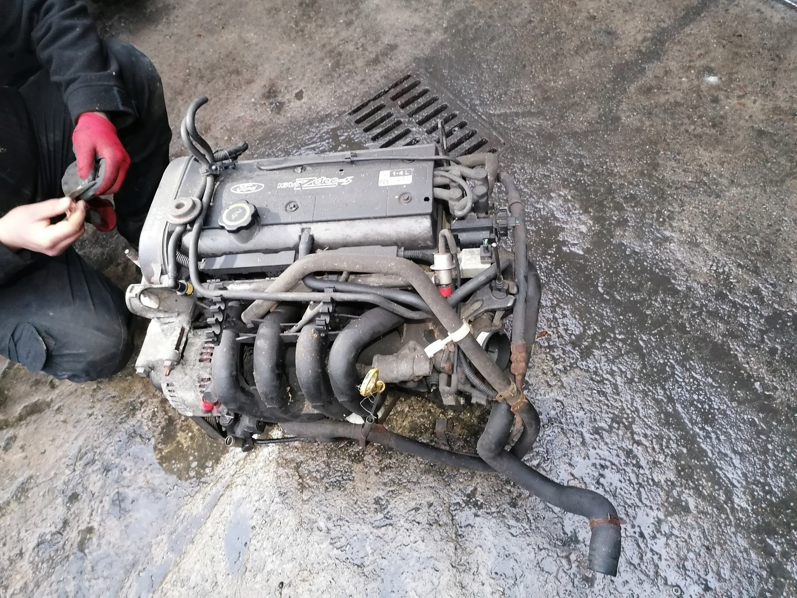 Motor Ford Focus MK1 1.4 16V gasolina P98MF nuevo
