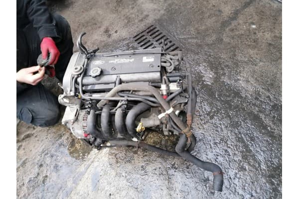 Motor Ford Focus MK1 1.4 16V gasolina P98MF usado