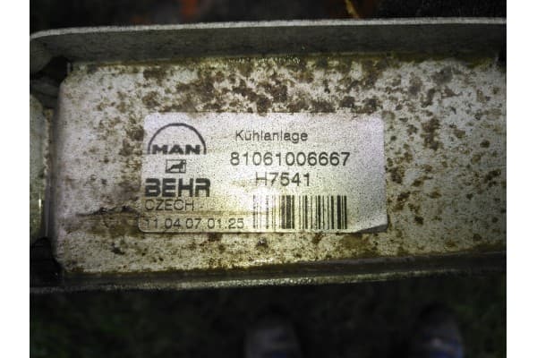 Radiador de Aire Man Tgl Tgm 81061006667 usado 2