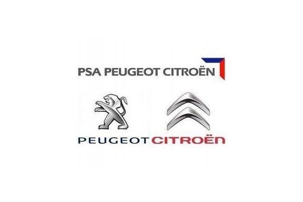 Medidor de flujo de aire Peugeot OE 1920GN usado 2