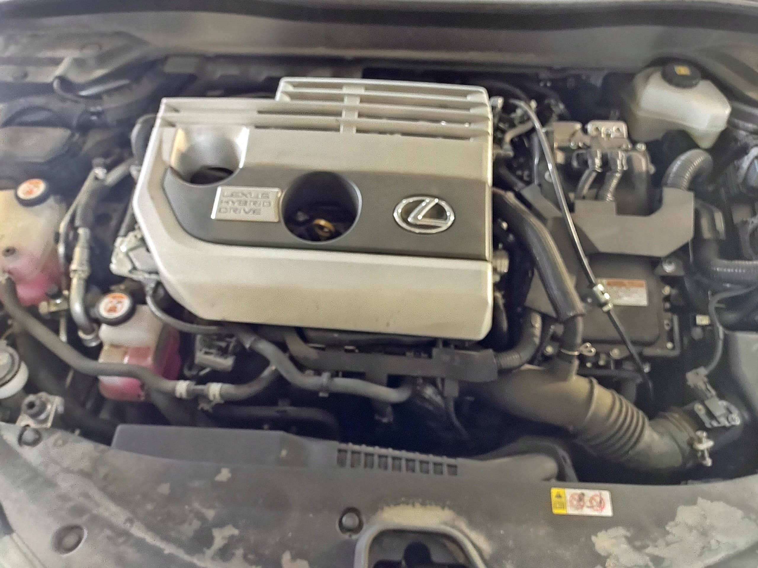 Caja de Cambios Lexus UX250h 2.0 Híbrida F-Sport nuevo