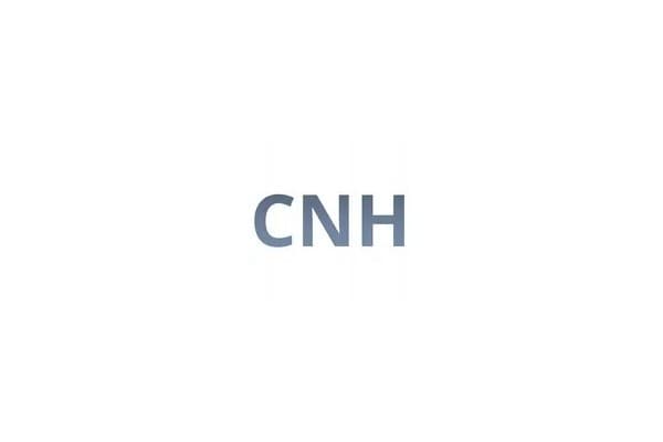 Guardabarros delantero 1250x410 mm Cnh nuevo 3